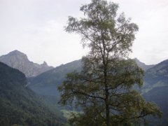 Lucy _007